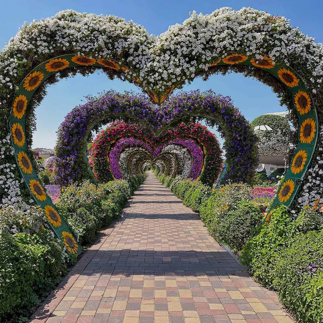 Heart Tunnel