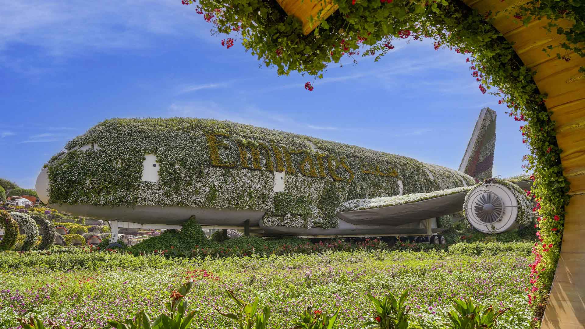 A380 floral display illuminated at night